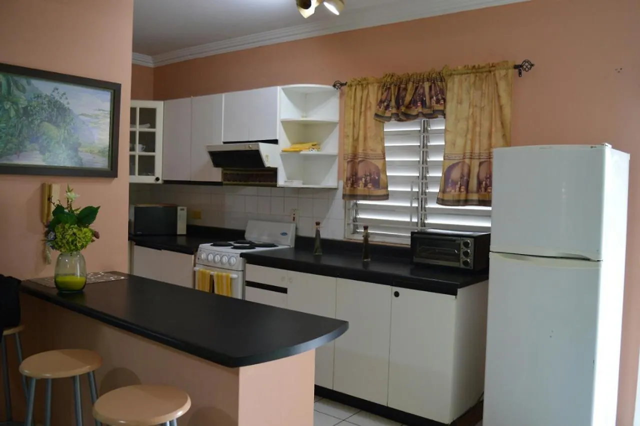 Palm Grove Waterloo Avenue Apartment Saint Andrew