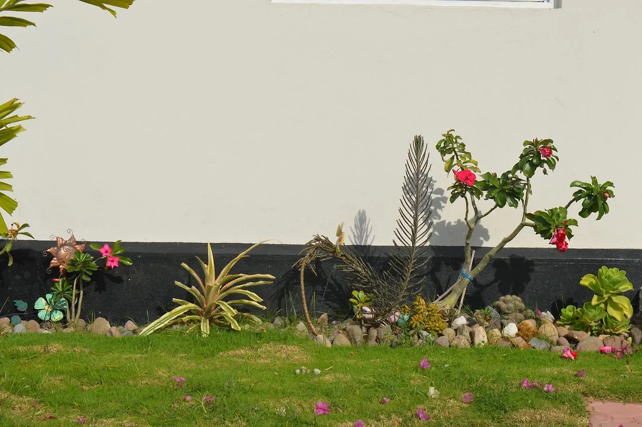 Palm Grove Waterloo Avenue Apartment Saint Andrew Jamaica